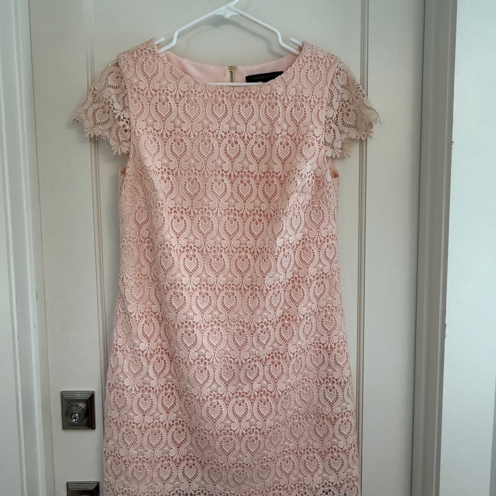 Cynthia Steffe Pink Lace Dress Size 6